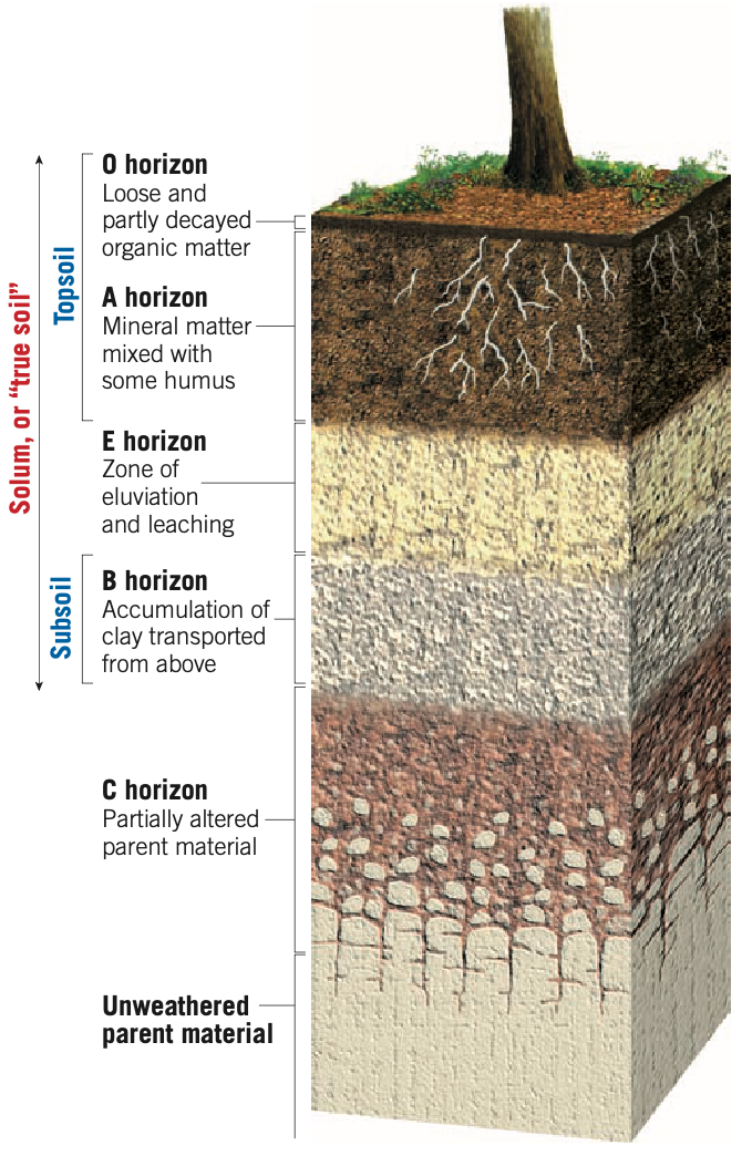soil_profile
